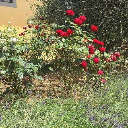 Casa Della Ciri Apartman